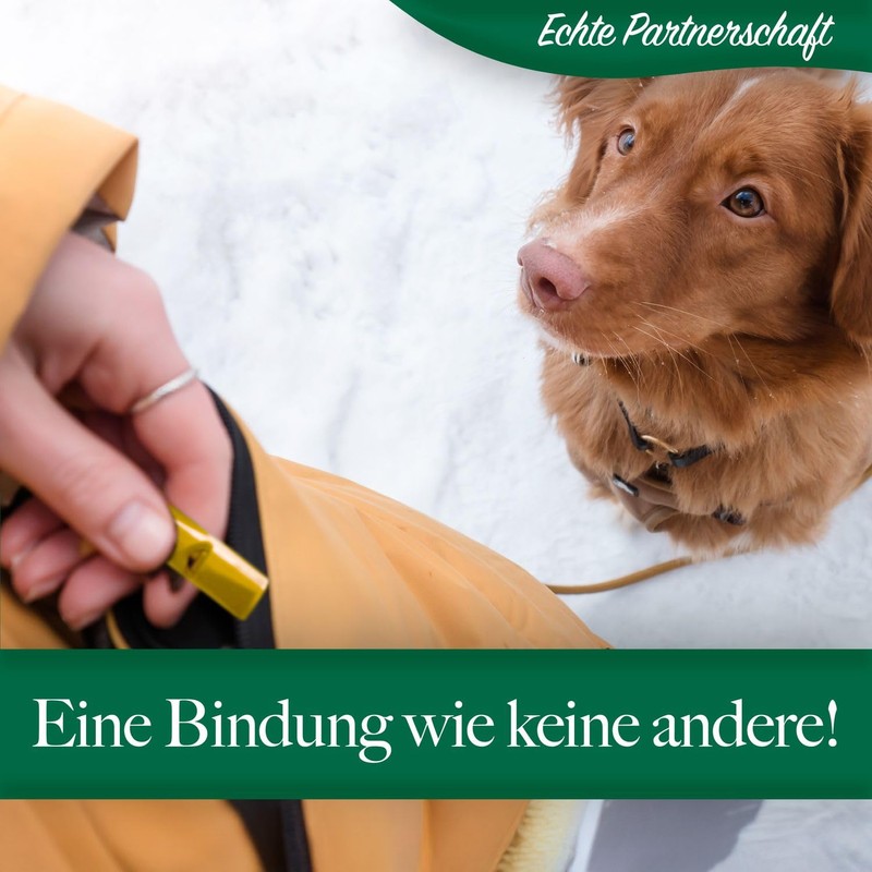bluzelle Recall 5800 Professional Dog Whistle with Strap for Dog