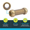 SharkBite 1 x 1 in Slip Coupling, Push-to-Connect Brass Plumbing