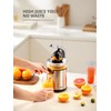 Reemix Electric Citrus Juicer - Orange, Lemon, Grapefruit Juicer with