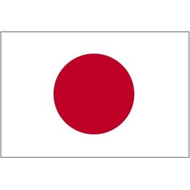 Annin Flagmakers 4ft. x 6ft. Japan Flag for Parades & Display with Fringe
