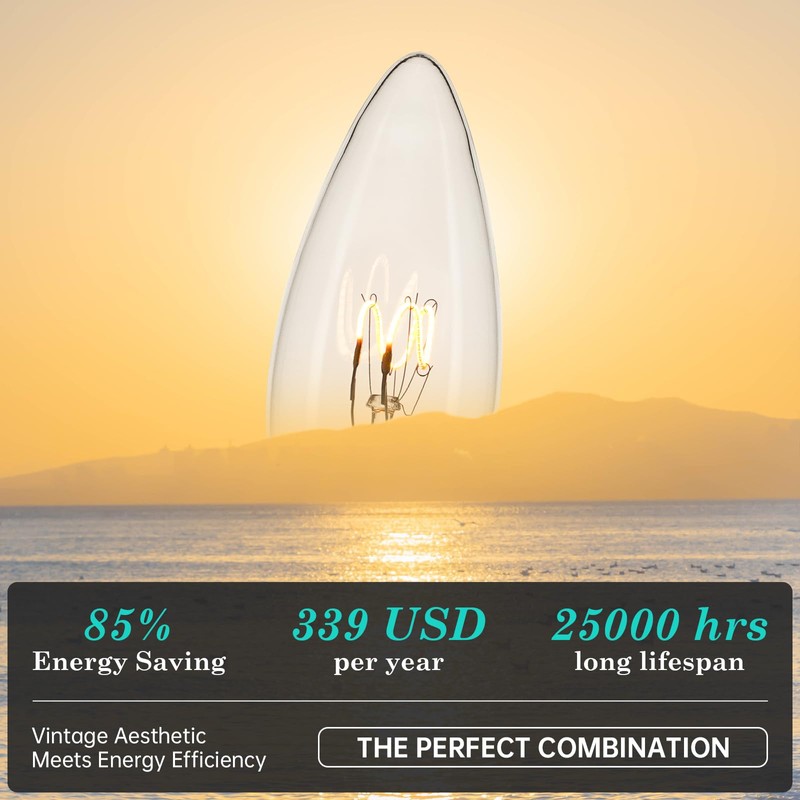 AMDTU E12 25 Watt Equivalent Clear Small Base LED Bulb