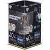 Iris Ohyama LED Lamp Filament, E26 Base