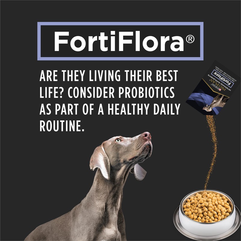 Pro Plan Veterinary Diets Purina Pro Plan Veterinary Supplements Fortiflora