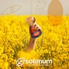 Vitamina C 180 Cápsulas by Solanum