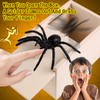 Audasi Pack of 2 Spider in Box Prank, Funny Scary