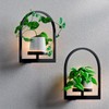 Vexercisehoop 2 Pack Wall Planter for Indoor Plants, Metal Framed