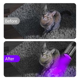 NEXTORCH 365nm UV Light Led Blacklight Flashlights Detector Ultraviolet Pocket-Size LED Torch for Pets Urine and Stains Find Stains on Carpet, Rugs 3D Printed Resin Curing Light C1UV