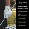 Bangarang Golf PremiumPro Glove - (LH - Medium) Premium Cabretta