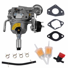 ACmango 541-0765 Carburetor with parts for Onan 5500 Generator Carb replace A043B781/141-0983/146-0577/146-0630/146-0774 Grand Marquis Gold Generator with Mounting Gaskets Cleaner Tool Kit Fuel Filter