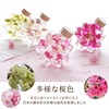 Flower Marika Cherry Blossom Herbarium Birthday Gift Sakura Katachi (Hizakura