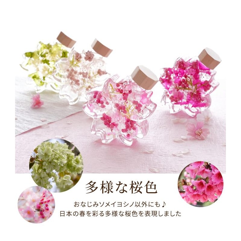 Flower Marika Cherry Blossom Herbarium Birthday Gift Sakura Katachi (Hizakura