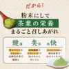 和香園 あらびき茶60g 缶タイプ 非売品一煎パック付(深蒸し茶)｜鹿児島茶 茶 高級 粉末 緑茶 煎茶 パウダー