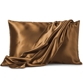 Satin Pillowcase 2 Pack - Queen Size (20"x30", Coffee) - Silky Pillow Cases for Hair and Skin - Satin Pillow Covers with Envelope Closure - Extra Soft Premium Microfiber