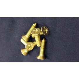 Triumph TR250-TR6 Stainless Steel  Screw Set for Convertible Top Frame.