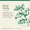 Bach Original Flower Remedy Holly 20ml Emotional Wellness Natural Essence