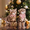 ADOGGYGO Pink Christmas Cat Collar with Bowtie Bandana, Christmas Kitten