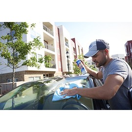 Gunk GC1-12PK Streak Free Glass Cleaner - 19 oz., (Case of 12)