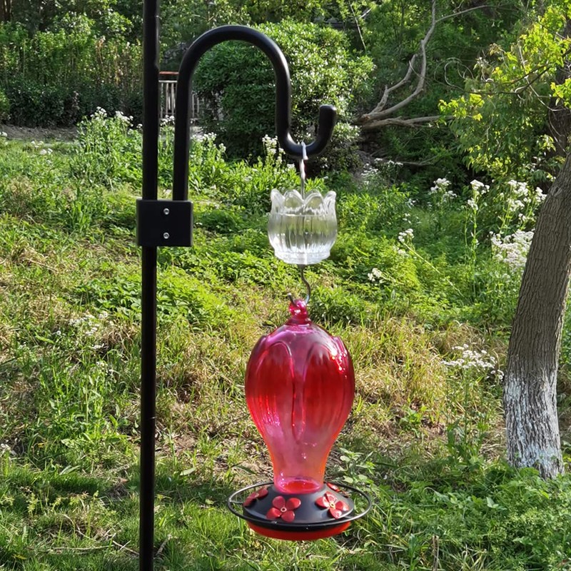 Glass Ant Moat for Hummingbird Feeder - 2PC x 3