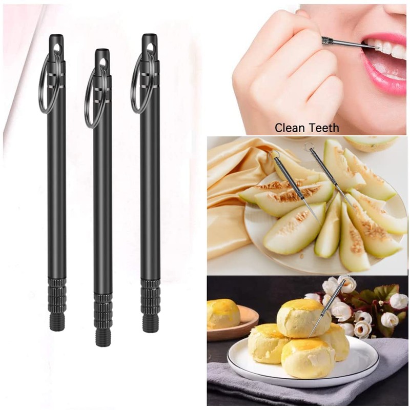 Iliensa 3 Pieces Portable Titanium Toothpicks,Metal Pocket Toothpick Stainless Steel