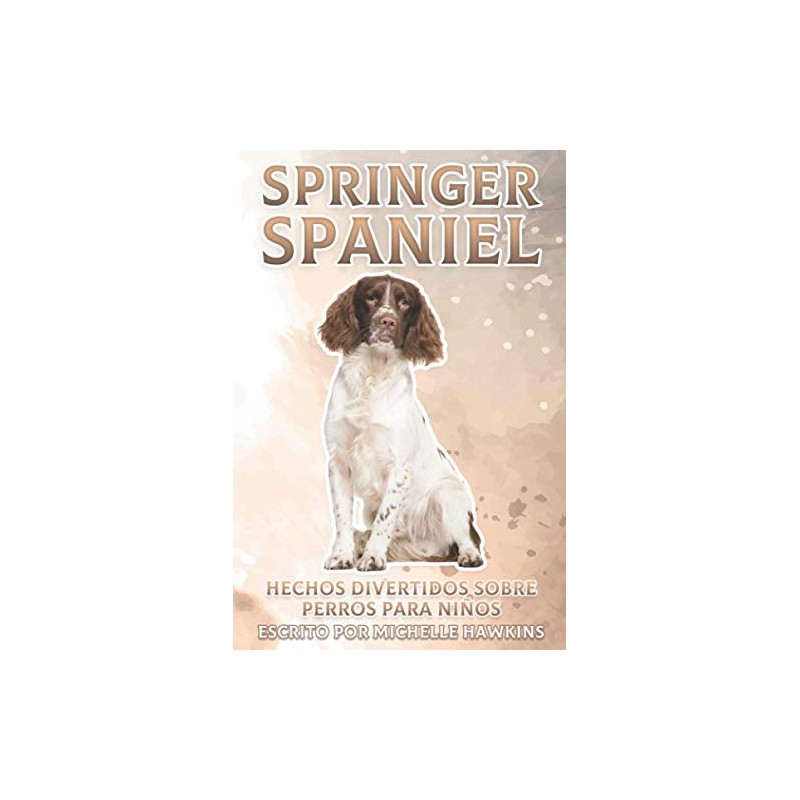 Springer Spaniel: Hechos divertidos sobre perros para niños #20