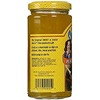 Saucy Susan Peach Apricot Sauce, 9.5 Ounce