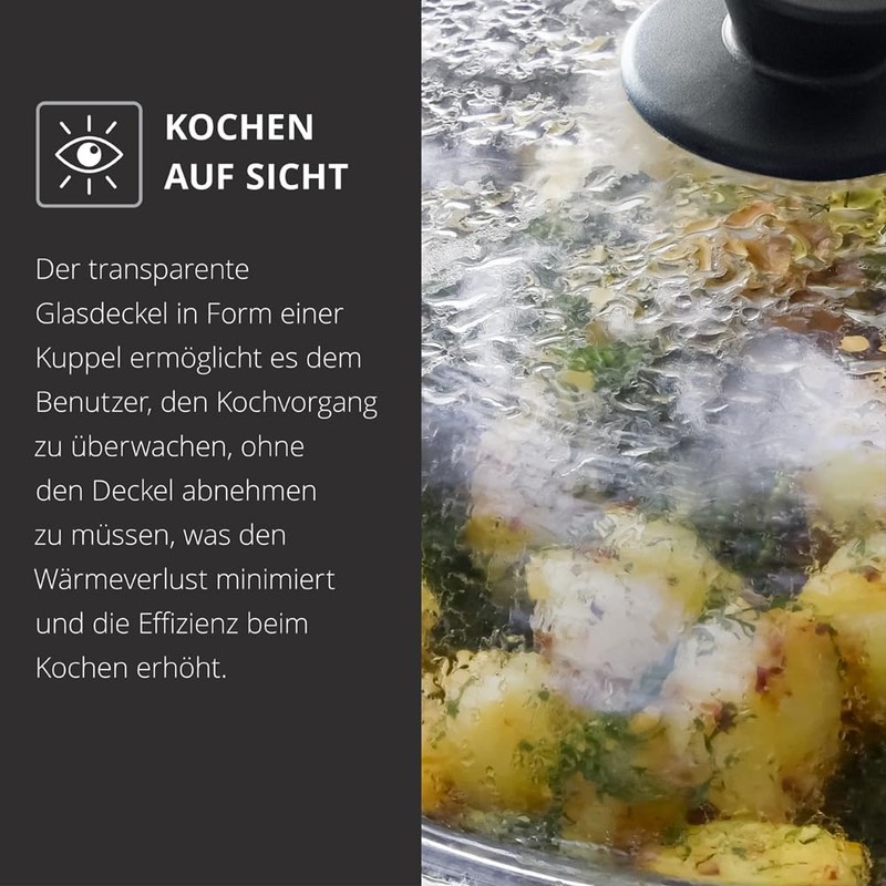 SKK 037 Glass Lid 16 CM Suitable for round Titanium