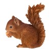 Real Life Baby Red Squirrel | Resin Home or Garden