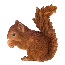 Real Life Baby Red Squirrel | Resin Home or Garden Decoration | XRL-RS01-F