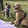 VIVAGLORY Easefit No Pull Dog Harness with Handle & Front