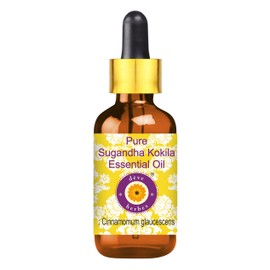 Deve Herbes Pure Sugandha Kokila Essential Oil (Cinnamomum glaucescens) 100% Natural Therapeutic Grade Steam Distilled with Glass Dropper 30ml (1 oz)