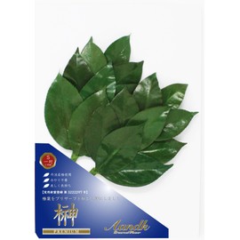 A&K Premium Sakaki Preserved [S Size / Pair / Approx. Height 11.0 x Width 5.5 inches (28 cm) x Width 5.5 inches (14 cm)] Made in Tamba, Made with Premium Camellia Leaf Shinto Shelf, For Offering