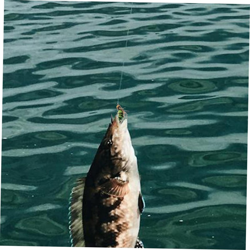 KOMBIUDA 10pcs Bionic Bass Fishing Lures Realistic Crankbait Hooks for