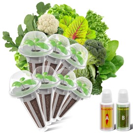 inbloom Salad Green Seed Pod Kit for AeroGarden, Ahopegarden, GARDENCUBE, MUFGA, 7 Pods (350+ Seeds with American Fast/Paris Island/Buttercrunch Lettuce, Swiss Chard, Spinach, Cauliflower, Cabbage)