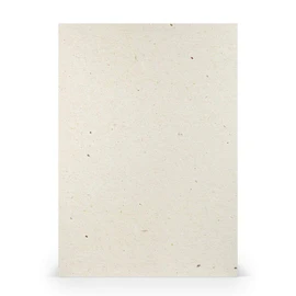 PAPERADO 50 x Craft Card DIN A4 - Terra Vanilla Cream Beige 220 g/m² Coloured Card - Thick Craft Paper in 29.7 x 21 cm Painting, Craft Perfect Craft Cardboard