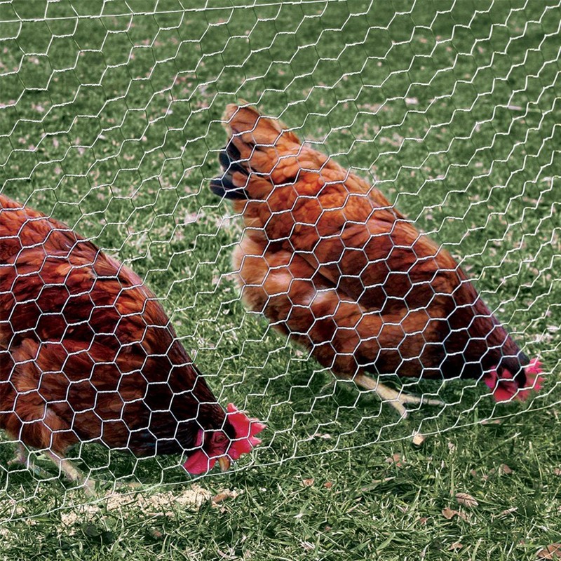 YardGard Chicken Wire 2 Inch Mesh 24 Inch X 150