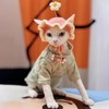 Cute Pets Cap with Cherry Decor Wool Berets for Small