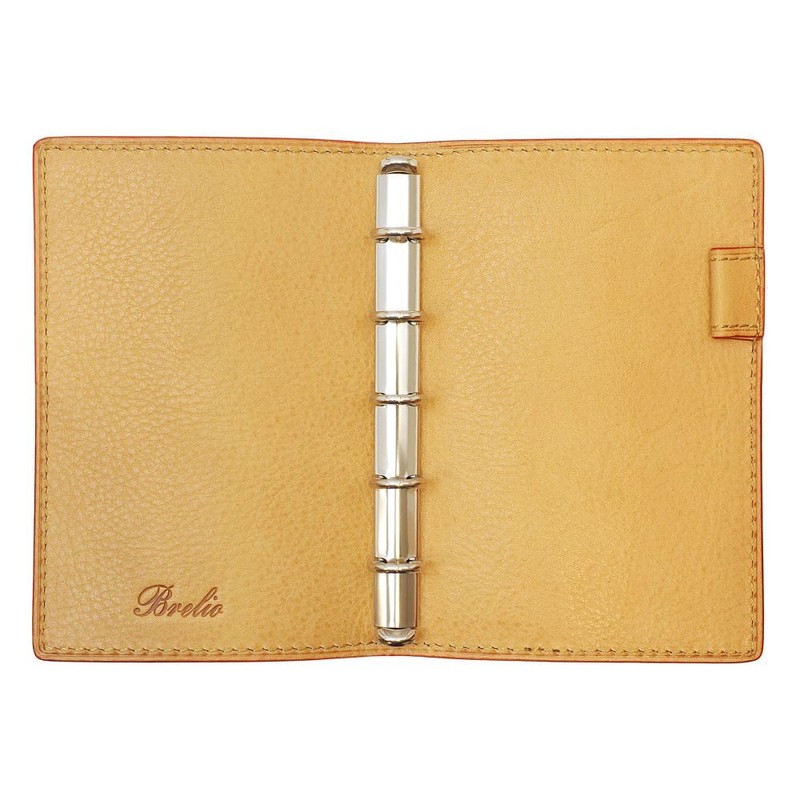 Breilio Minerva Box, Mini 5, 0.4 inch (11 mm) Notebook,