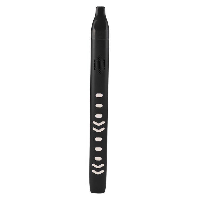 Electric Blowpipe 10 Timbre Mini Portable Rechargeable Detachable Digital Wind