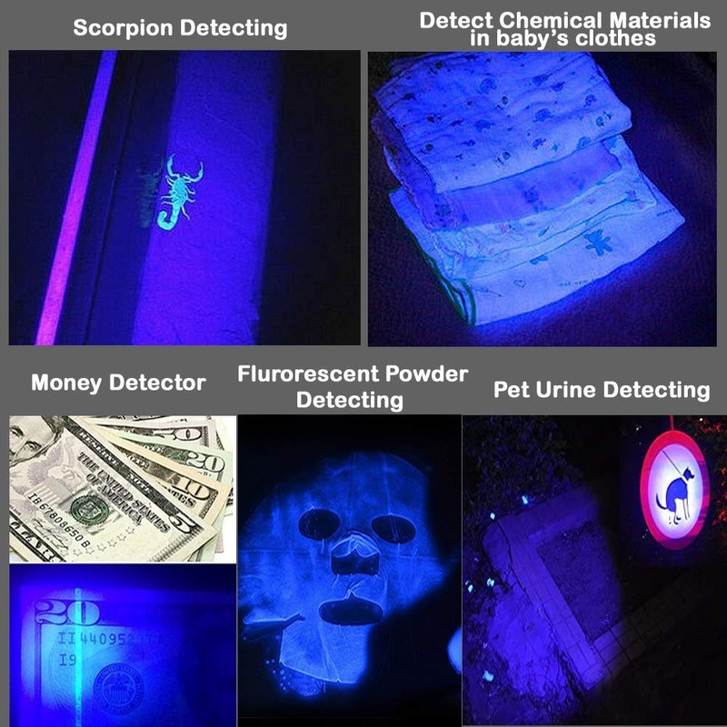 WAYLLSHINE Multicolored Flashlight Pack: Red, Blue, Green, 395 UV, White