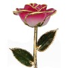 24k Gold Rose - Real Rose Dipped in Gold (2-Tone