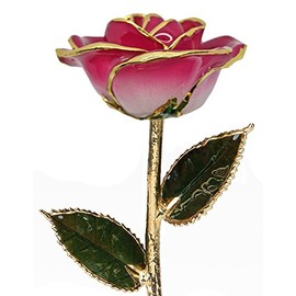 24k Gold Rose - Real Rose Dipped in Gold (2-Tone Pink)