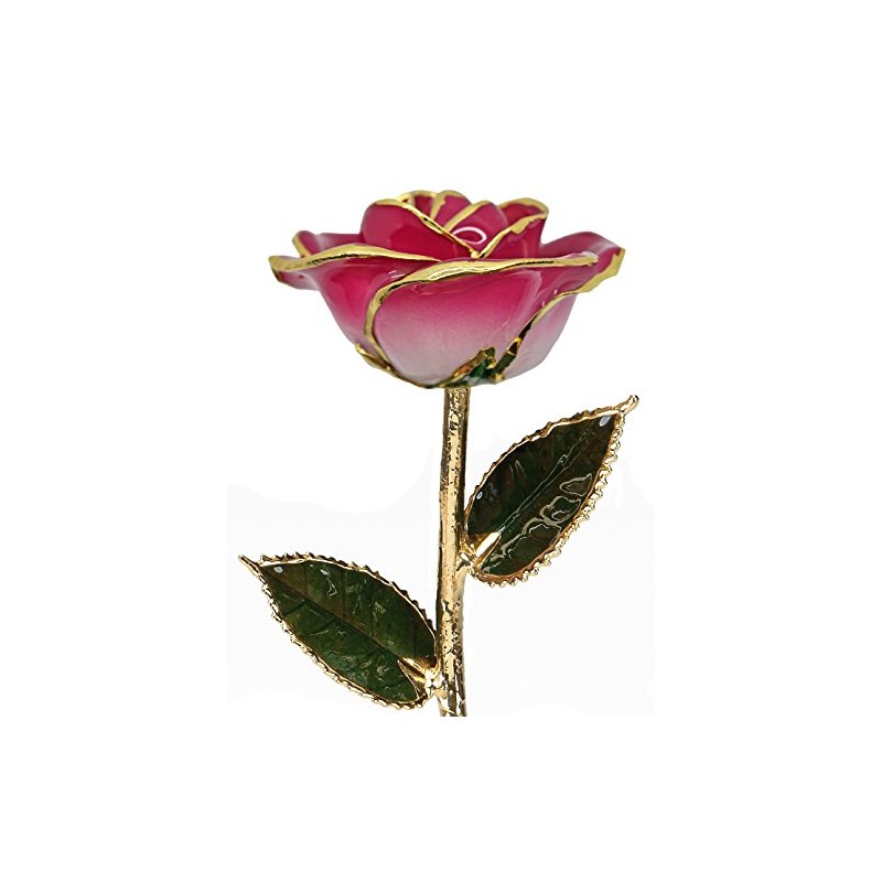 24k Gold Rose - Real Rose Dipped in Gold (2-Tone