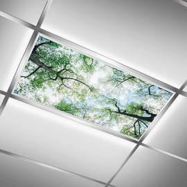 BIROSVSY Fluorescent Light Covers for Classroom Ceiling Lights – 2x4ft Backlit Film for Fluorescent Fixtures, Easy to Install – School, Office, Sensory, Improve Focus, Eliminate Headaches –Tree