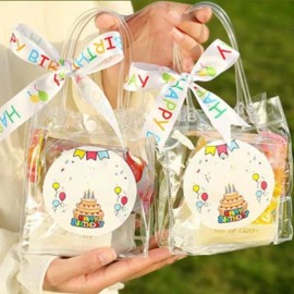 Vertical Type 2 Transparent Plastic Packaging Bag with Handle Vertical Type 2 50ea