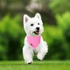 Summer Dog Bandana, UP URARA PUP Pink Bandana for Small