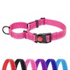 HSIGIO Martingale Dog Collar, No Slipping Out Reflective Puppy Collar
