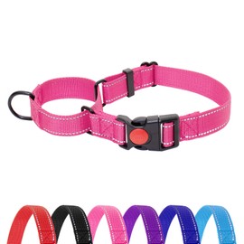 HSIGIO Martingale Dog Collar, No Slipping Out Reflective Puppy Collar with Quick Release Buckle, Heavy Duty Adjustable Dog Collar with Safety Lock for Small Medium Large Breed Dogs, Pink, M