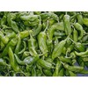 Gernika Pepper 10+ Seeds