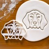 German Shorthaired Pointer Face Cookie Cutter, 1 Piece - Bakerlogy