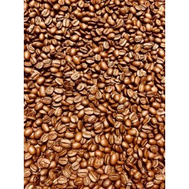 Café Veracruzano 100% Arábica Exportación Premium Coatepec